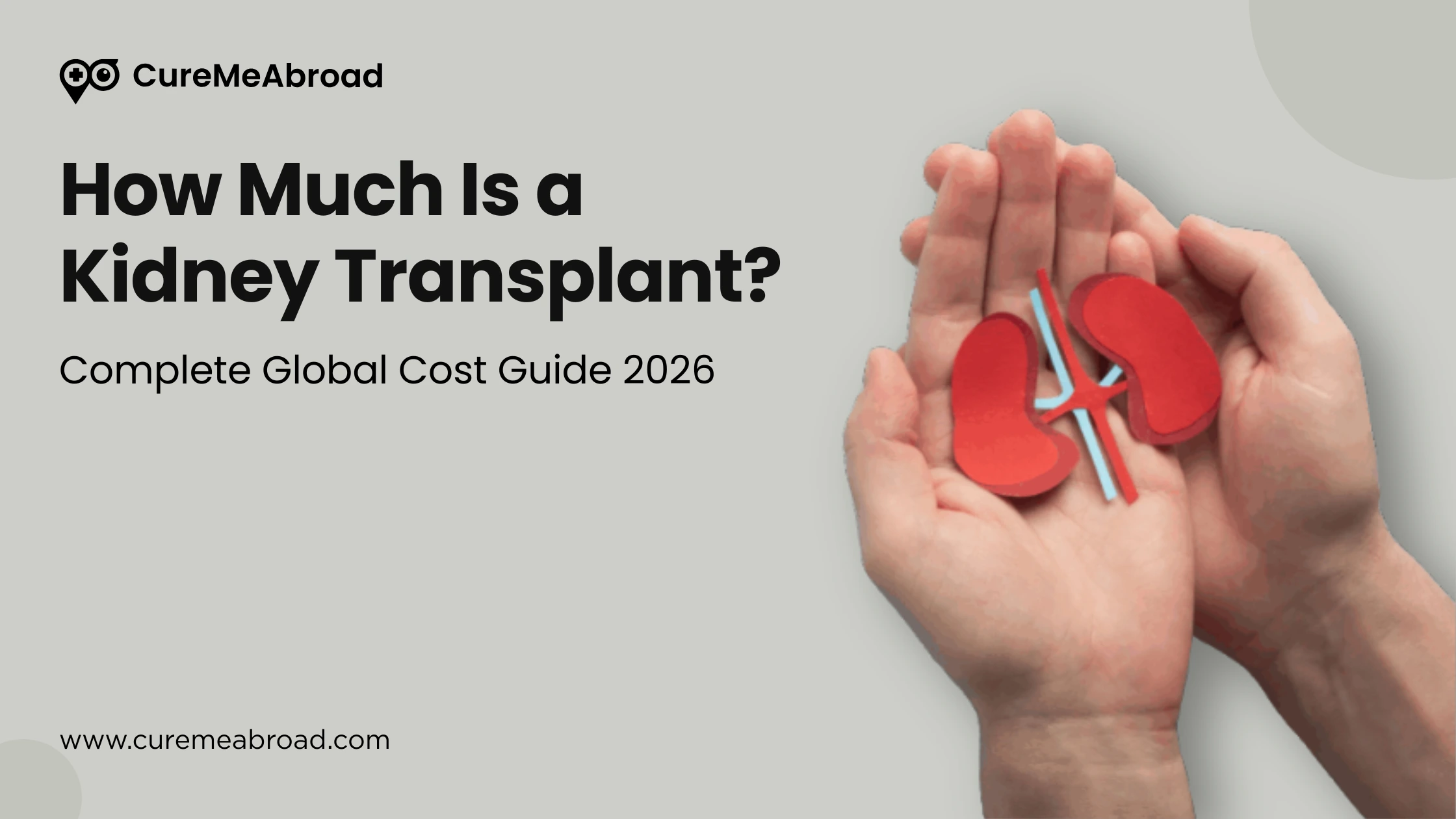How Much Is a Kidney Transplant? Complete Global Cost Guide 2026