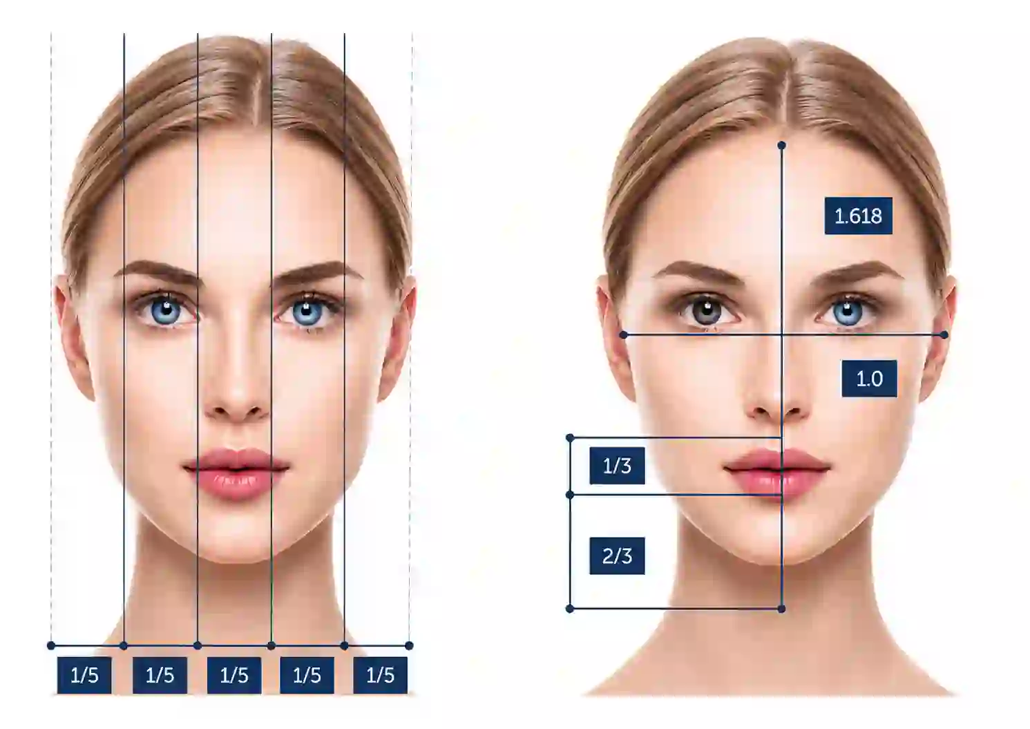 face proportions for korean plastic surgerycompressed 