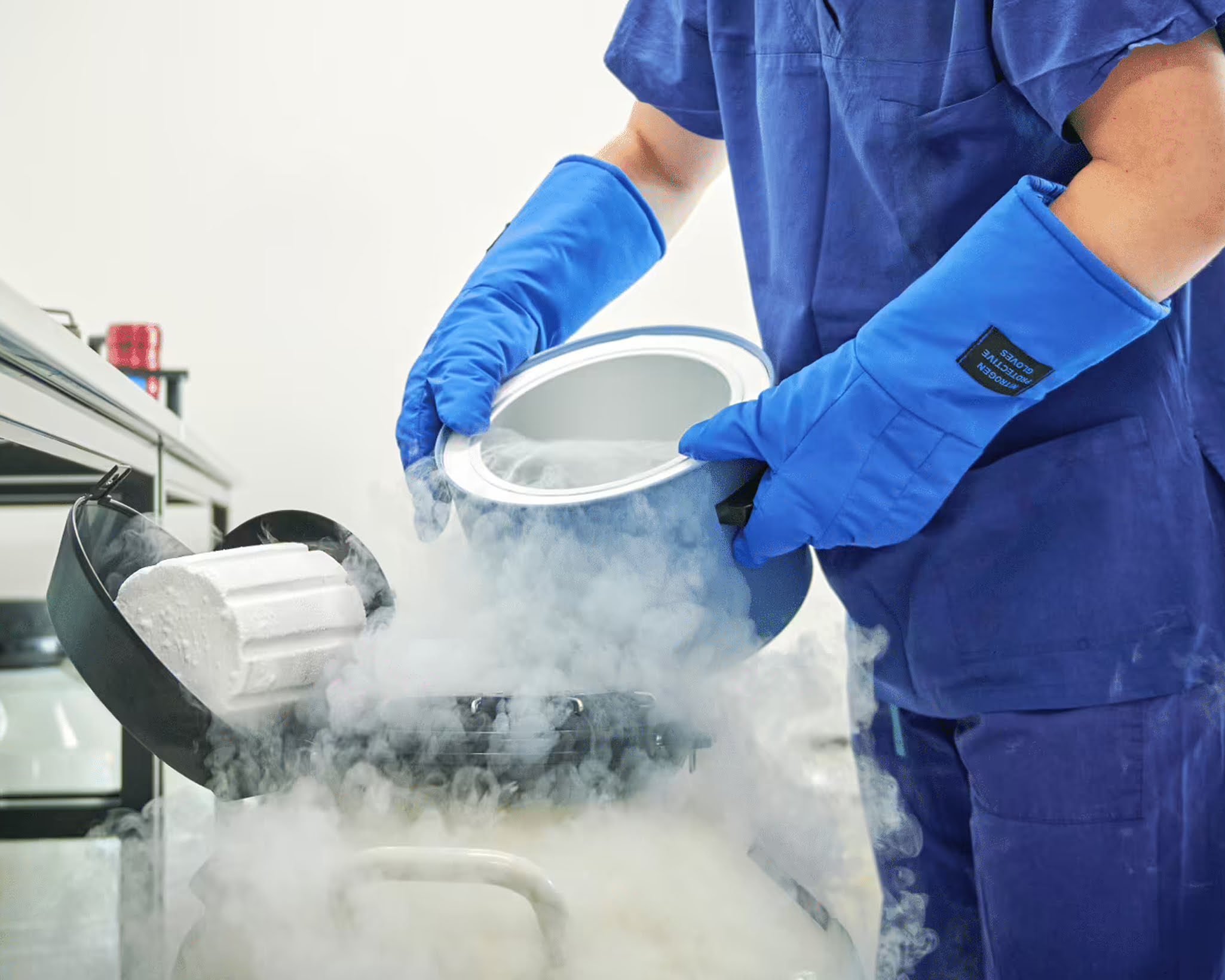Factors That Affect Single Froze (1)