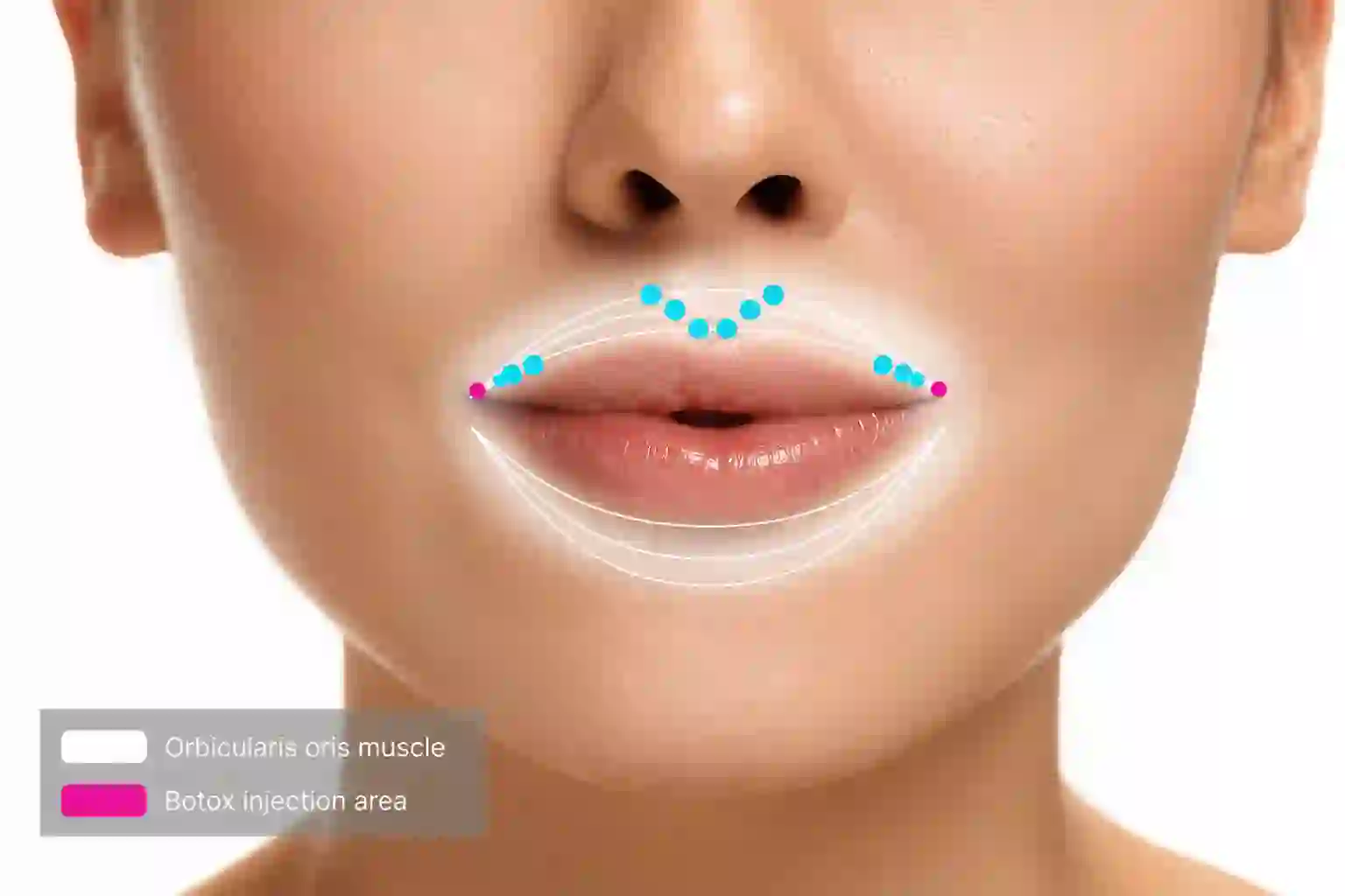 lipflip image